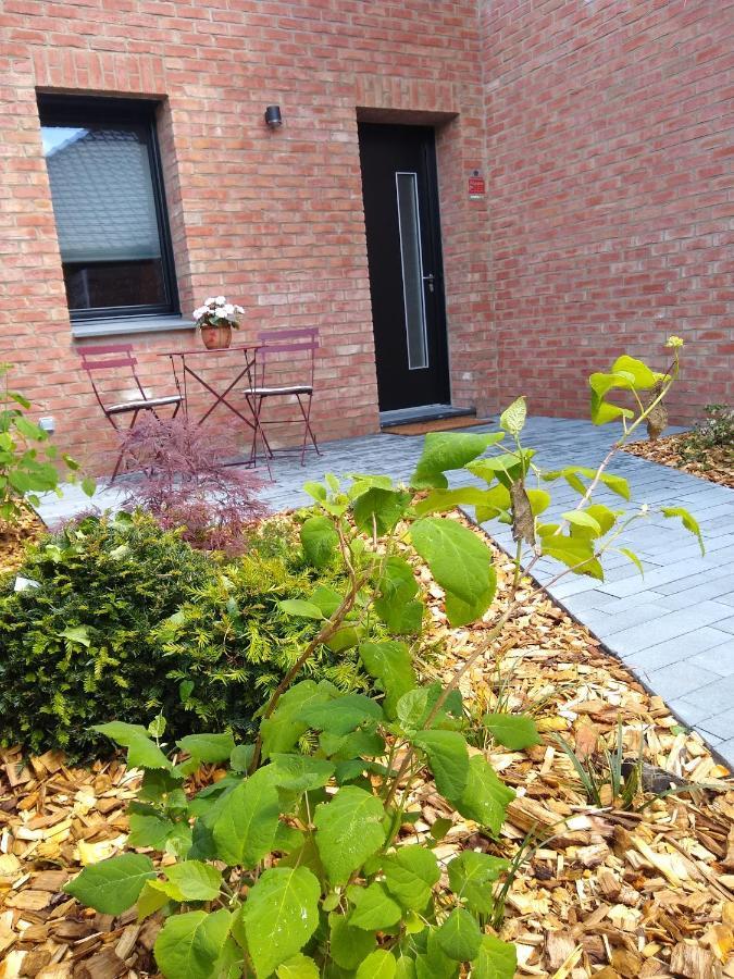 Les Agapanthes Bed & Breakfast Camphin-en-Pevele ภายนอก รูปภาพ
